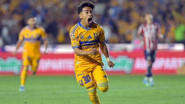 tigres
