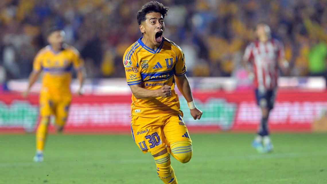 tigres